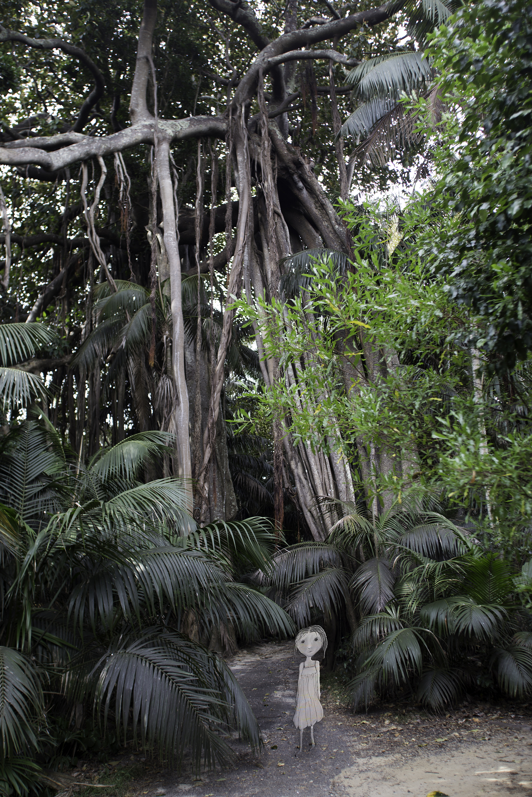 A walk in the forest